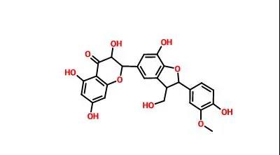 水飛薊亭結構式