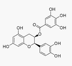 表兒茶素沒食子酸酯結構式