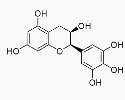 表沒食子兒茶素結構式