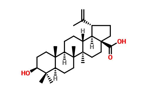 白樺脂酸結構式圖片